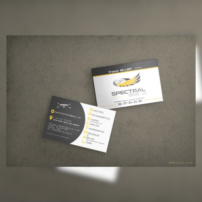 Mockup d'une carte de visite recto-verso avec le logo Spectral Drone 16 posée sur une table en pierre grise foncé.