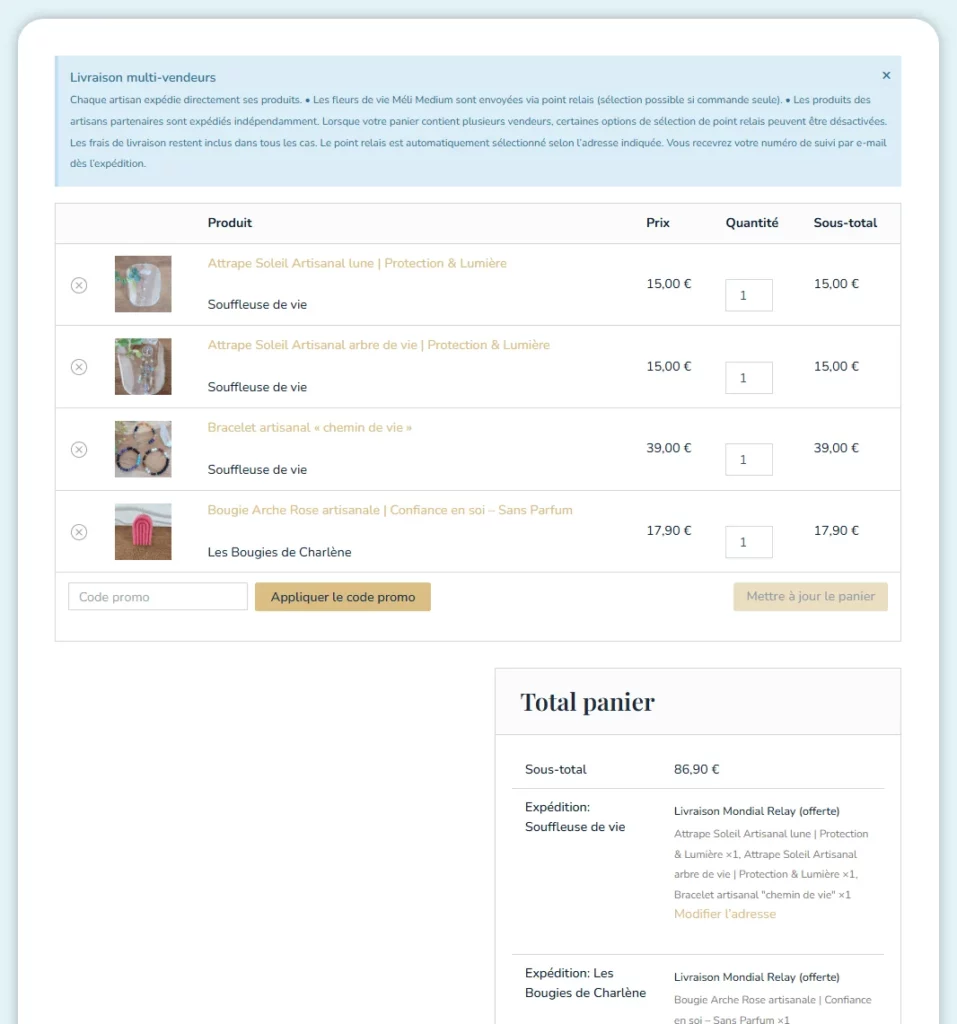 Marketplace WordPress MeliMedium Gleniscom panier (1)